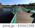 いこいの広場 63441398