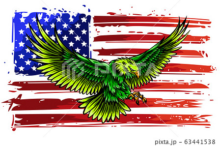 The national symbol of the USA vector The national symbol of the USA vector 63441538