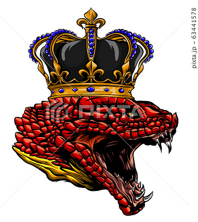 The illustration shows a poisonous snake head with a long forked tongue. vector The illustration shows a poisonous snake head with a long forked tongue. vector 63441578