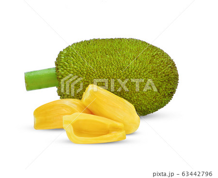 Jackfruit isolated on white background Jackfruit isolated on white background 63442796