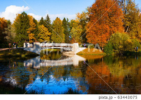 Autumn park, Slavyanka river and Cast-iron bridge Autumn park, Slavyanka river and Cast-iron bridge 63443075