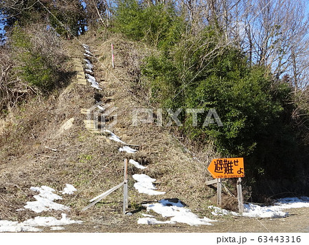 東日本大震災後の陸前高田市の風景 東日本大震災後の陸前高田市の風景 63443316