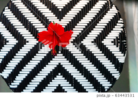 Black and white chair with red tropical flower. Trendy furniture. 63443531