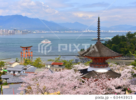 春の宮島の大鳥居と多宝塔の風景 春の宮島の大鳥居と多宝塔の風景 63443915