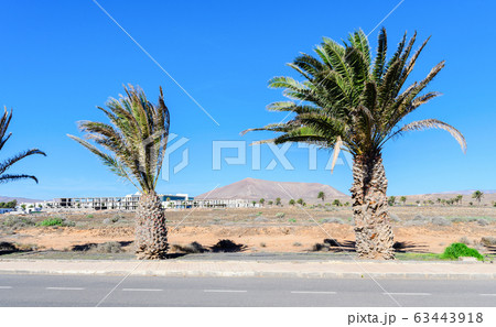 Brown landscapes, Costa Teguise 63443918
