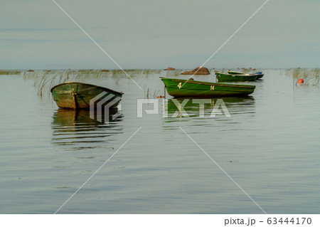Russia. Saint-Petersburg. Fishing boats at anchor in the reeds in the shallow waters of the Gulf of Finland. Russia. Saint-Petersburg. Fishing boats at anchor in the reeds in the shallow waters of the Gulf of Finland. 63444170