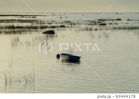 Russia. Saint-Petersburg. Fishing boats at anchor in the reeds in the shallow waters of the Gulf of Finland. Russia. Saint-Petersburg. Fishing boats at anchor in the reeds in the shallow waters of the Gulf of Finland. 63444178