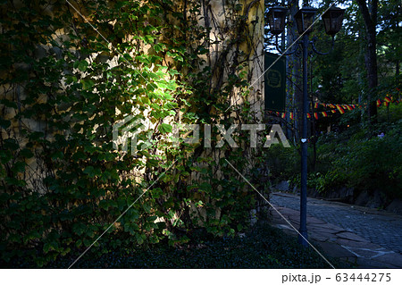 街風景 ロマンチック街道 ハロウィンの季節 街風景 ロマンチック街道 ハロウィンの季節 63444275