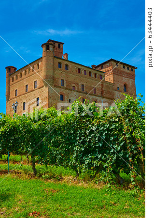 The Castello di Grinzane Cavour Piemonte Italy 63444403