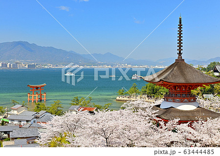 春の宮島の大鳥居と多宝塔の風景 春の宮島の大鳥居と多宝塔の風景 63444485
