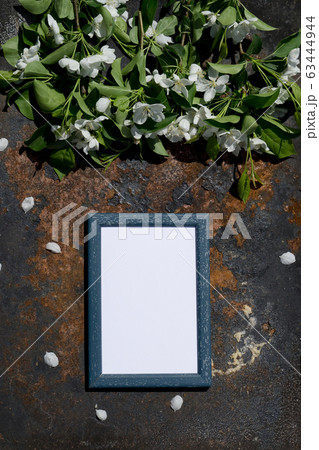 Creative top view apple tree blooming flowers 63444944