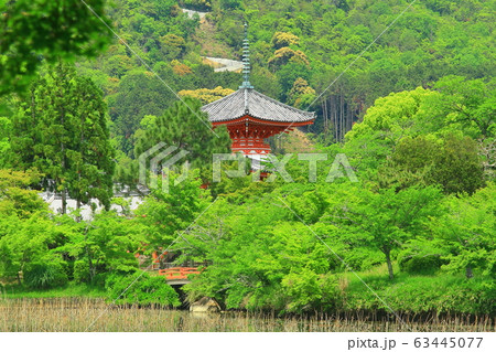 大覚寺（京都　嵯峨野）心経宝塔の新緑 63445077