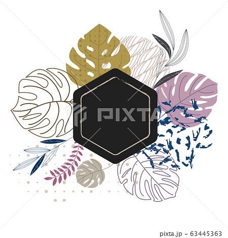 Abstract geometric natural elements. Leaves, blades of grass and twigs. 63445363