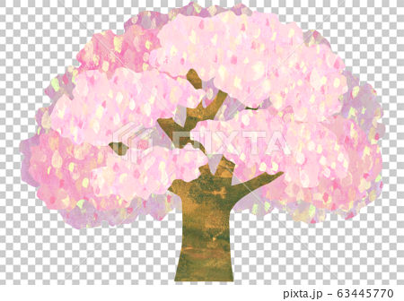 大きな桜の木のイラストのイラスト素材