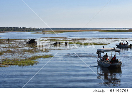 チョベ国立公園（ボツワナ） 63446763