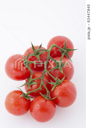 枝付きトマト水滴あり複数アップ 枝付きトマト水滴あり複数アップ 63447840