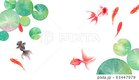 金魚と睡蓮の葉で構成した夏のイメージ背景、水彩イラストのイラスト