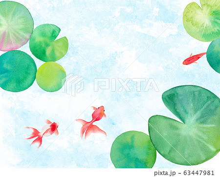 池で泳ぐ３匹の金魚と睡蓮の葉で構成した水彩イラスト 暑中見舞い背景のイラスト素材