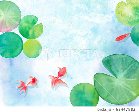 池で泳ぐ３匹の金魚と睡蓮の葉で構成した水彩イラスト 暑中見舞い背景のイラスト素材