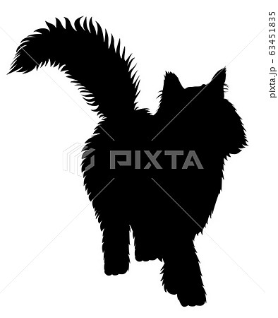 猫シルエット フォレストキャット メインクーン ラグドール ペルシャ サイベリアン ヒゲなし1のイラスト素材