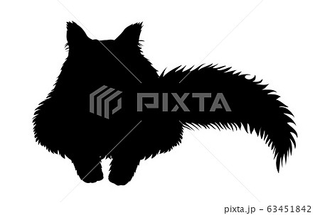 【猫シルエット】フォレストキャット・メインクーン・ラグドール・ペルシャ・サイベリアン・ヒゲなし10 【猫シルエット】フォレストキャット・メインクーン・ラグドール・ペルシャ・サイベリアン・ヒゲなし10 63451842