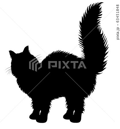 猫シルエット フォレストキャット メインクーン ラグドール ペルシャ サイベリアン ヒゲあり6のイラスト素材