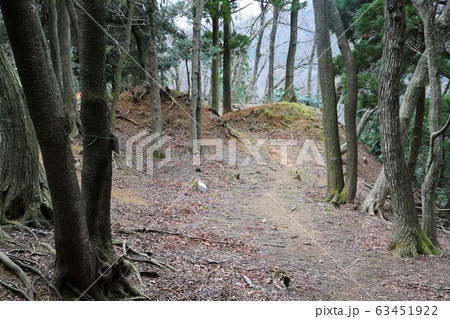 佐柿国吉城 63451922