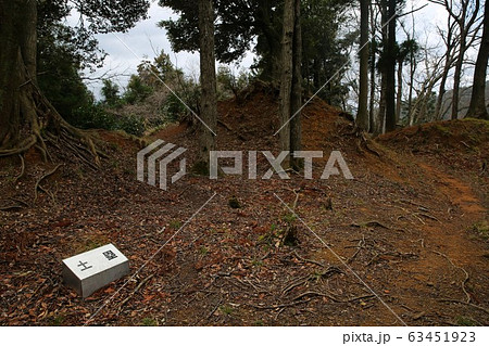 佐柿国吉城 63451923