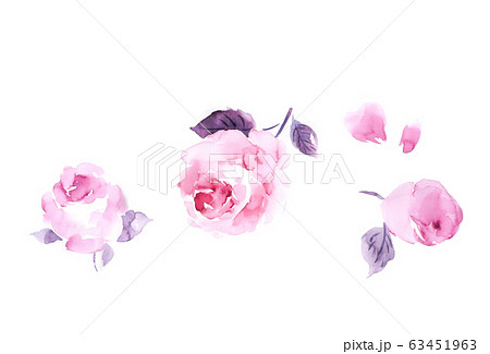 透明水彩 水彩画 花 63451963