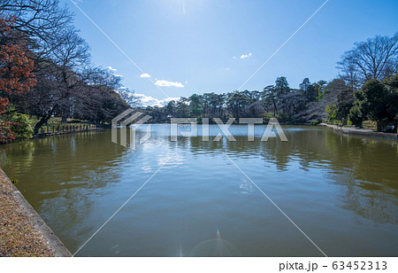 大宮公園　ボート池　さいたま市　　 63452313