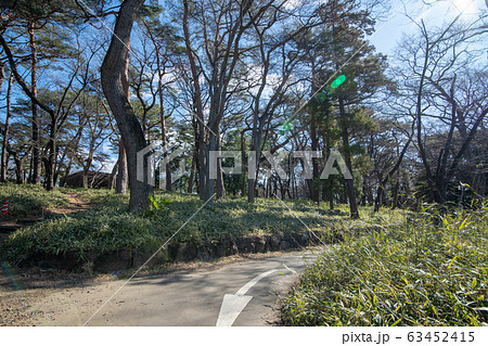 大宮公園 遊歩道 さいたま市 大宮公園 遊歩道 さいたま市 63452415