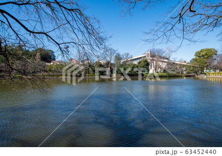 大宮公園 ボート池 さいたま市 大宮公園 ボート池 さいたま市 63452440