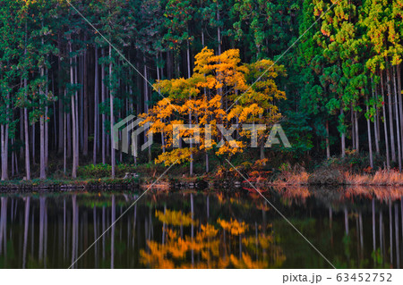 《奈良県》龍王ヶ淵 63452752