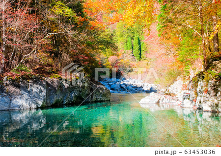 阿寺渓谷（秋） 63453036