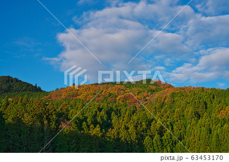 《奈良県》龍王ヶ淵 63453170