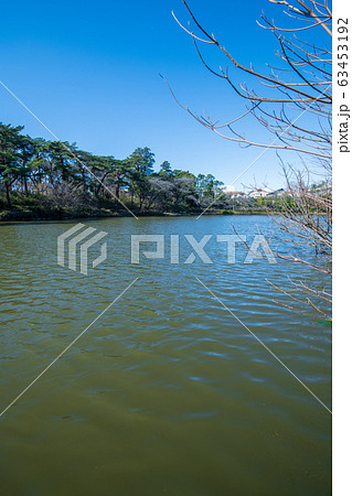 大宮公園　ボート池　さいたま市　　 63453192