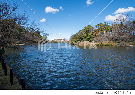 大宮公園 ボート池 さいたま市 大宮公園 ボート池 さいたま市 63453215