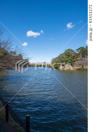 大宮公園　ボート池　さいたま市　　 63453272