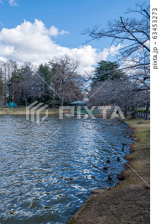 大宮公園 ボート池 さいたま市 大宮公園 ボート池 さいたま市 63453273