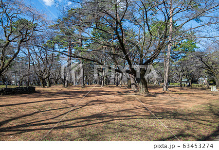 大宮公園　さいたま市　　 63453274