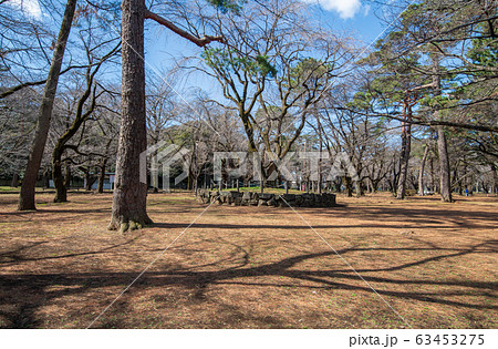 大宮公園　さいたま市　　 63453275