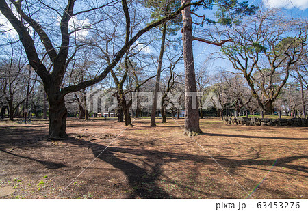 大宮公園 さいたま市 大宮公園 さいたま市 63453276