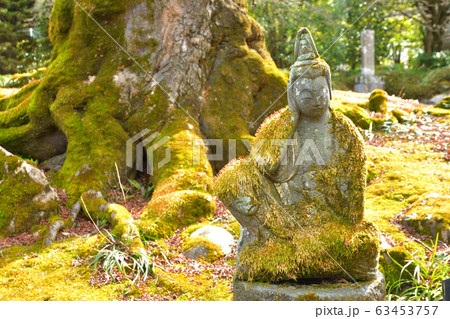 秩父散歩：八番札所　西善寺(さいぜんじ) 臨済宗南禅寺派 63453757