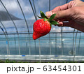 イチゴを持つ手 63454301