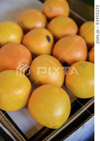 Close-up of Agricultural and Marine Products 496 63455272