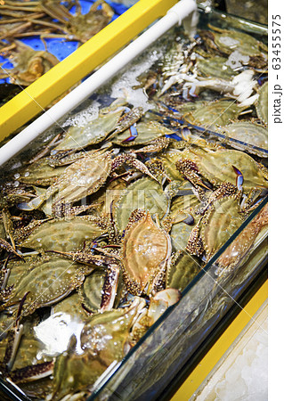 Close-up of Agricultural and Marine Products 227 Close-up of Agricultural and Marine Products 227 63455575