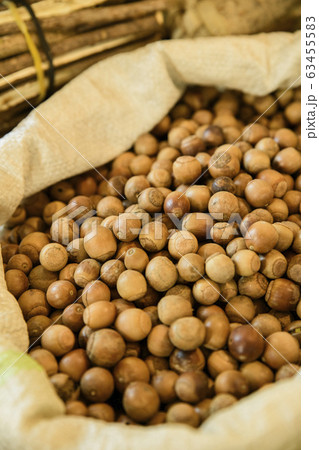 Close-up of Agricultural and Marine Products 341 Close-up of Agricultural and Marine Products 341 63455583