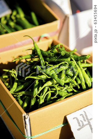 Close-up of Agricultural and Marine Products 049 63455694