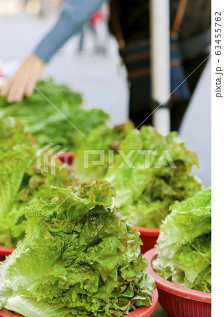 Close-up of Agricultural and Marine Products 095 Close-up of Agricultural and Marine Products 095 63455762