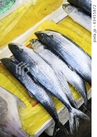Close-up of Agricultural and Marine Products 129 Close-up of Agricultural and Marine Products 129 63455872